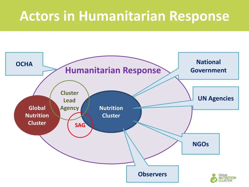 actors in humanitarian response