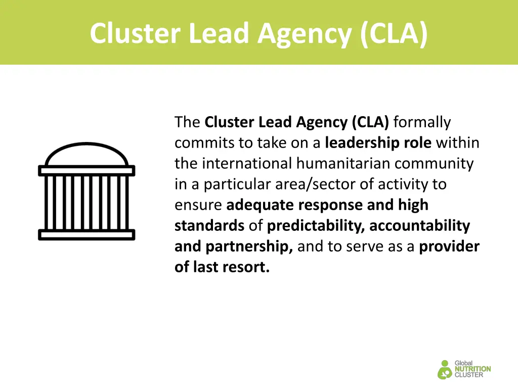 cluster lead agency cla