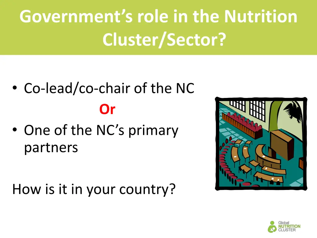 government s role in the nutrition cluster sector
