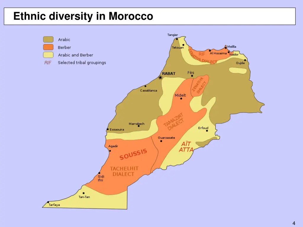 ethnic diversity in morocco