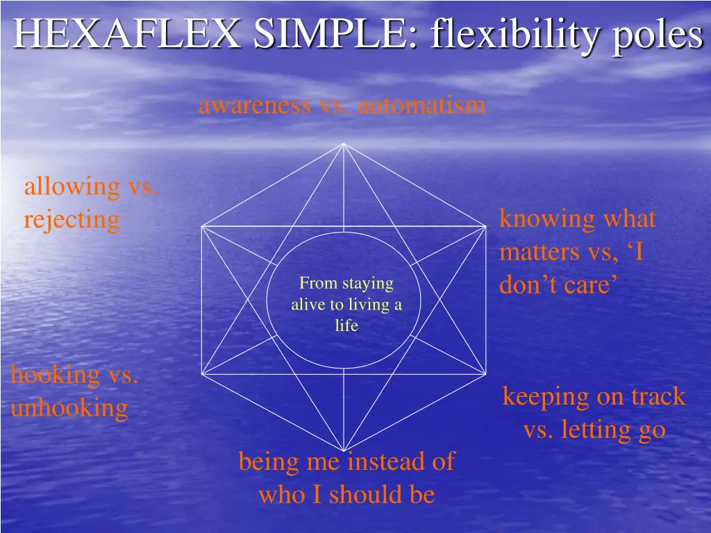 hexaflex simple flexibility poles