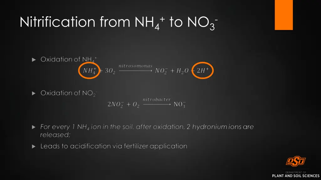 nitrification from nh 4 to no 3