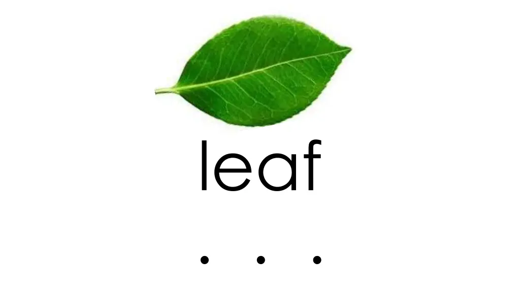slide4