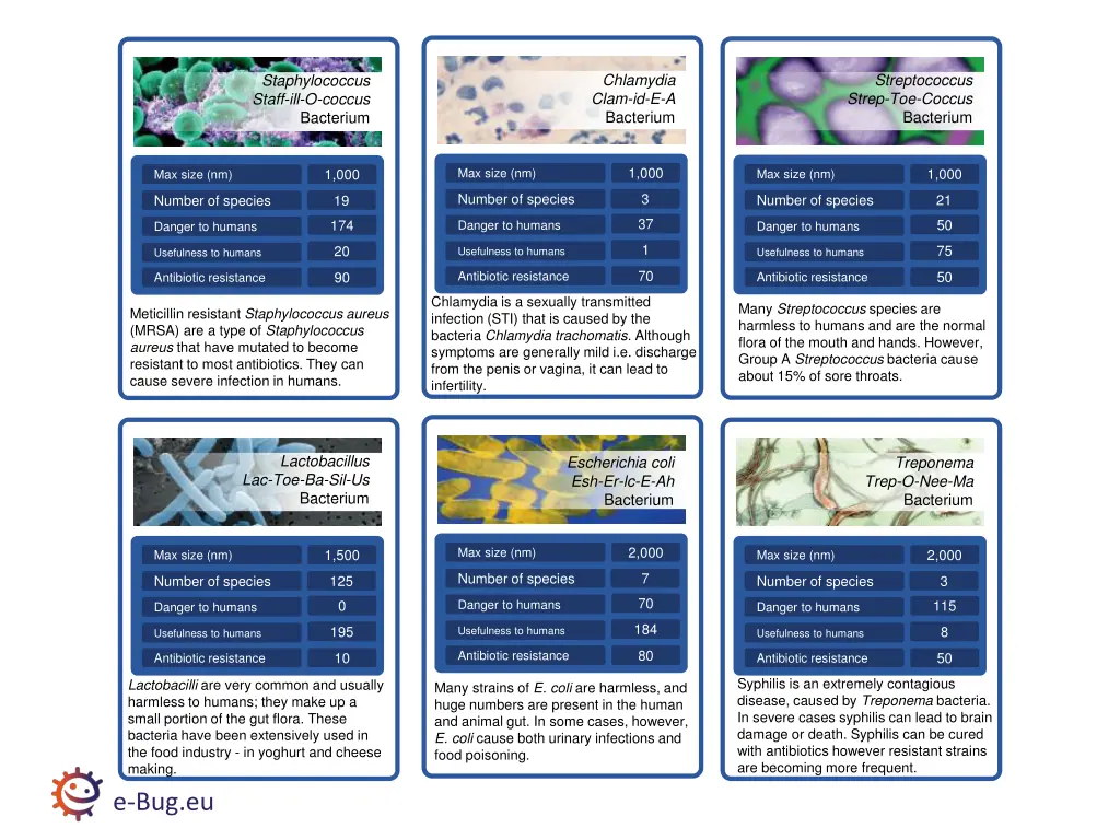 chlamydia clam id e a bacterium