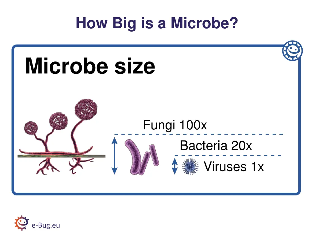 how big is a microbe