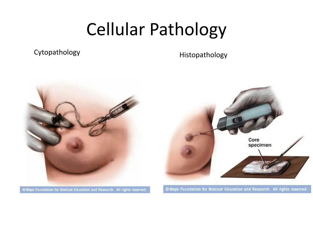 cellular pathology