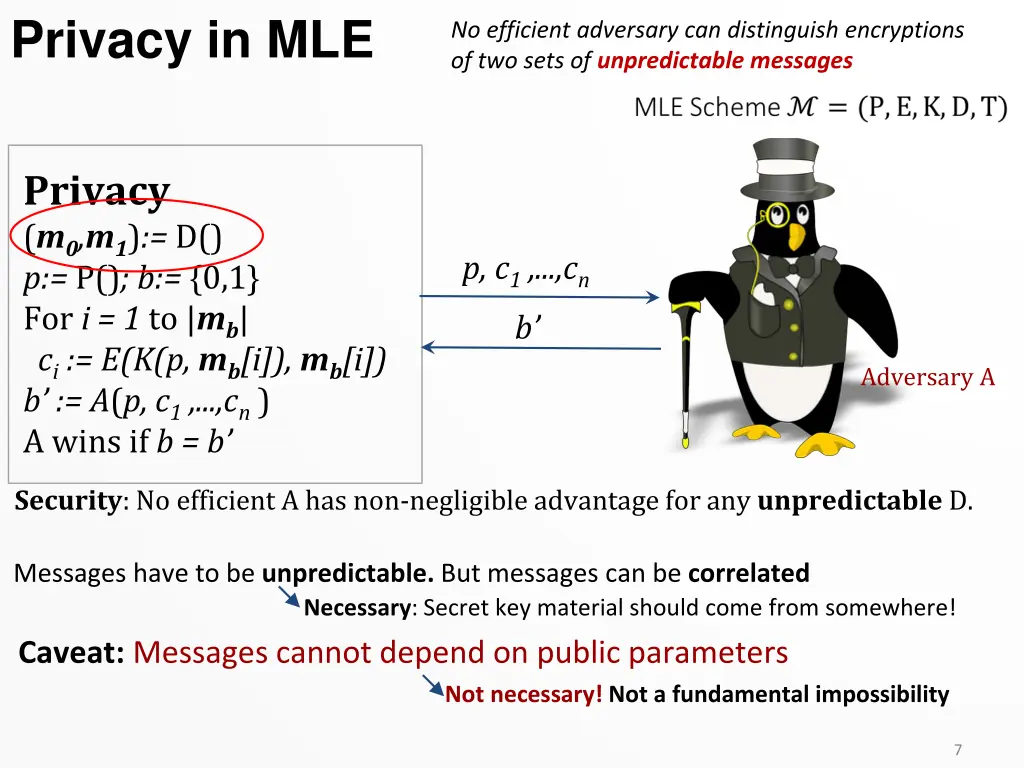 privacy in mle