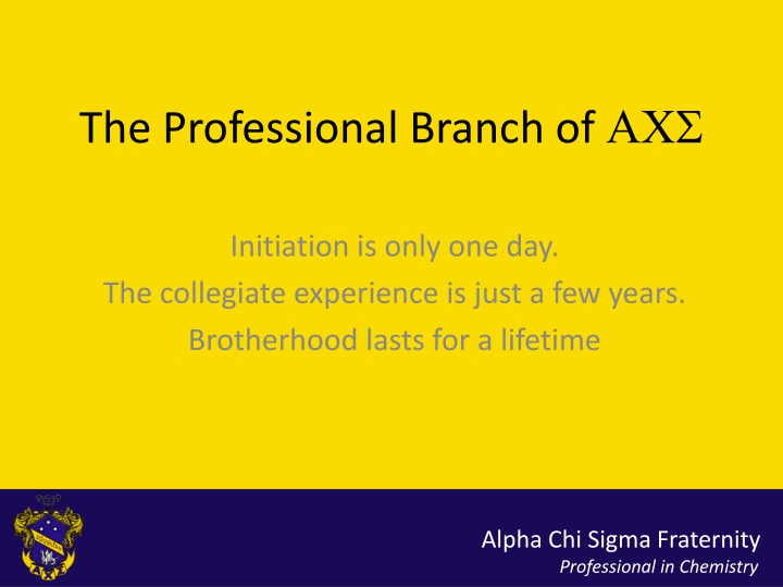 the professional branch of
