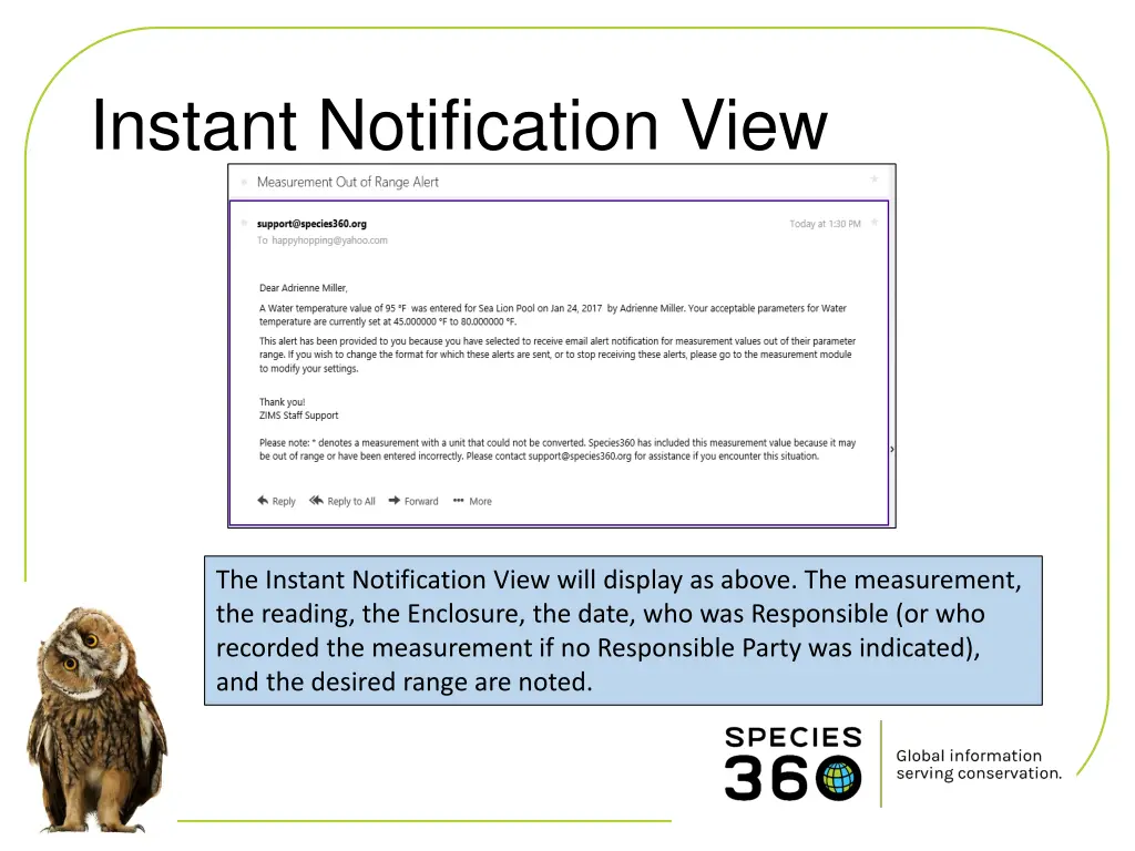 instant notification view