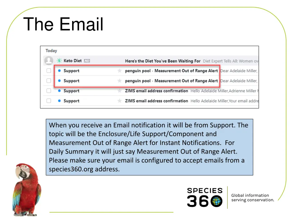 the email