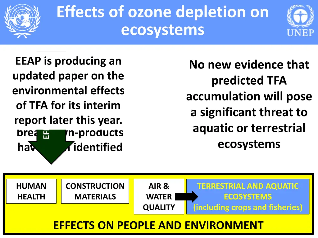 effects of ozone depletion on ecosystems 1