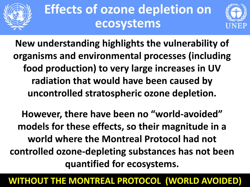 effects of ozone depletion on ecosystems 3