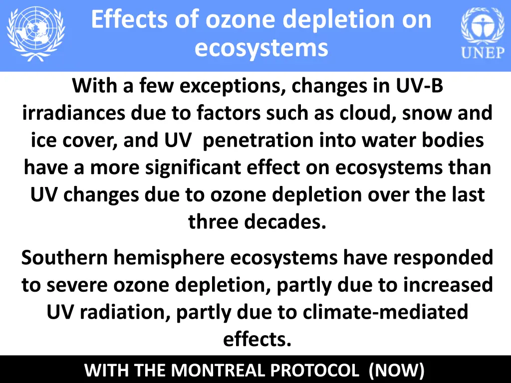 effects of ozone depletion on ecosystems 4