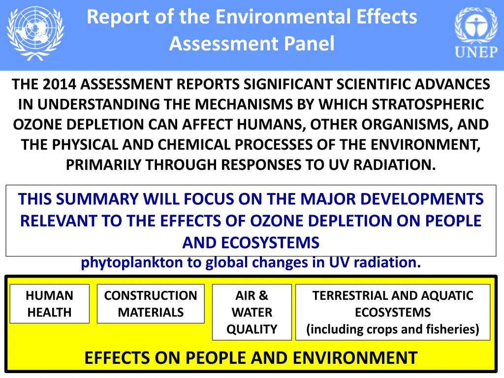 report of the environmental effects assessment 1