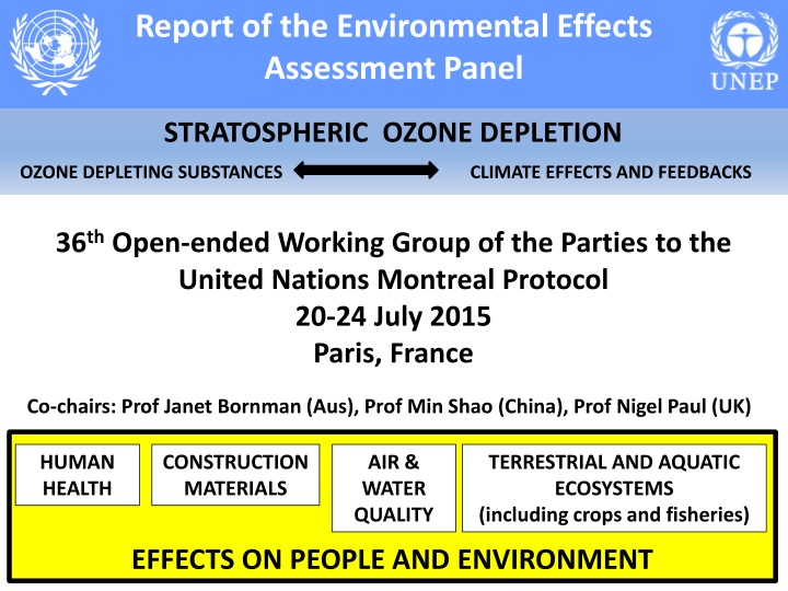 report of the environmental effects assessment