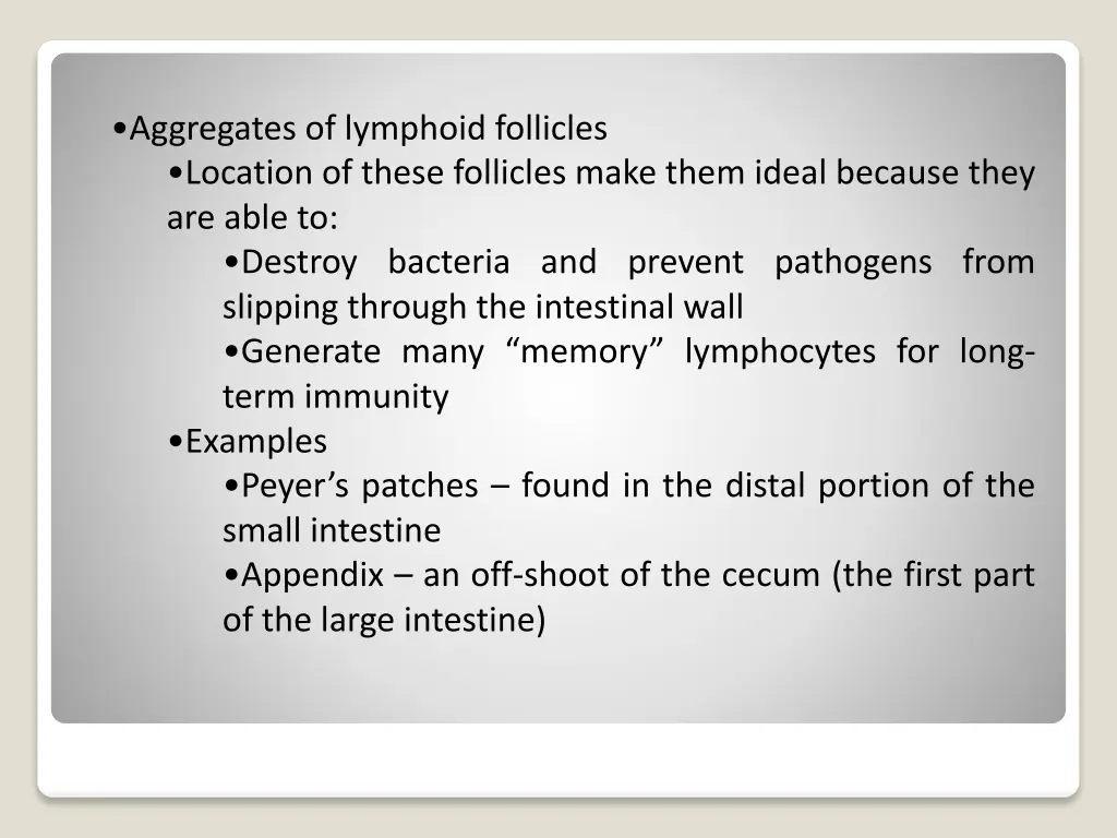aggregates of lymphoid follicles location
