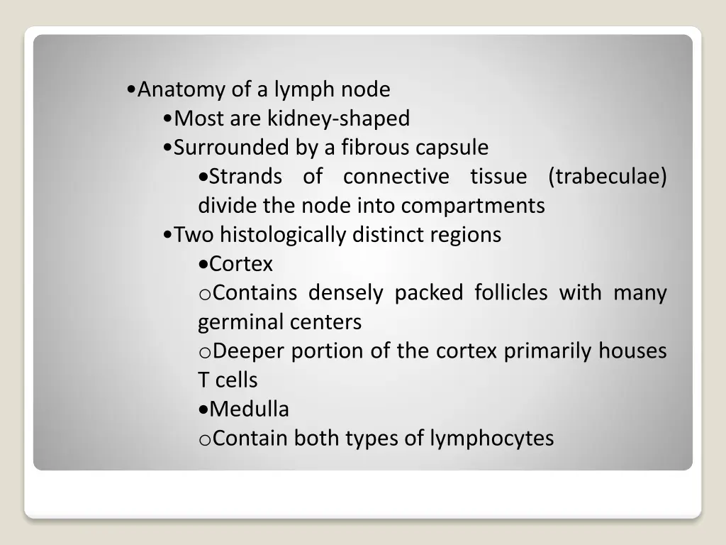 anatomy of a lymph node most are kidney shaped