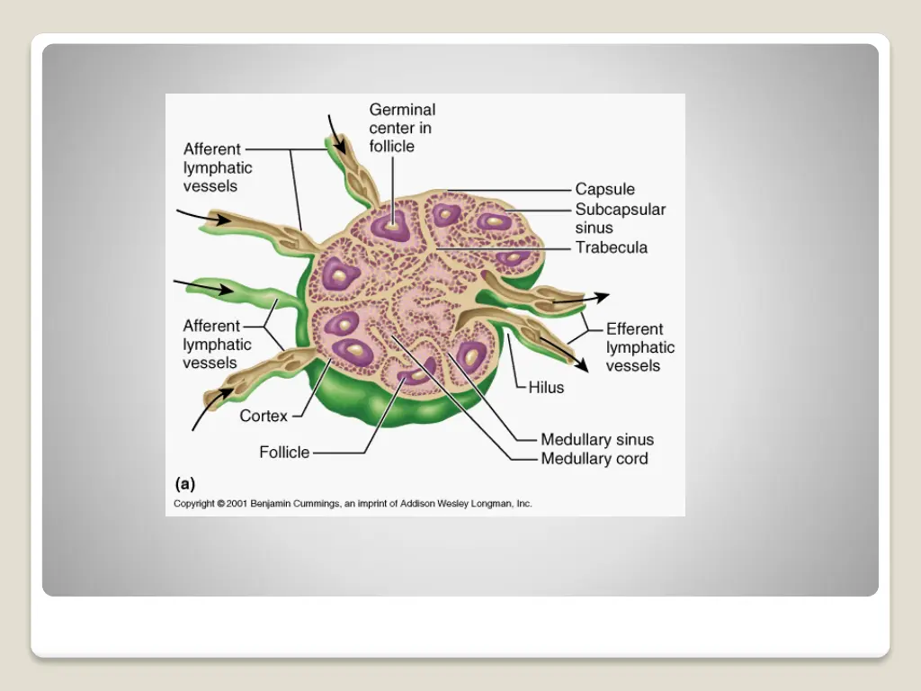 slide14