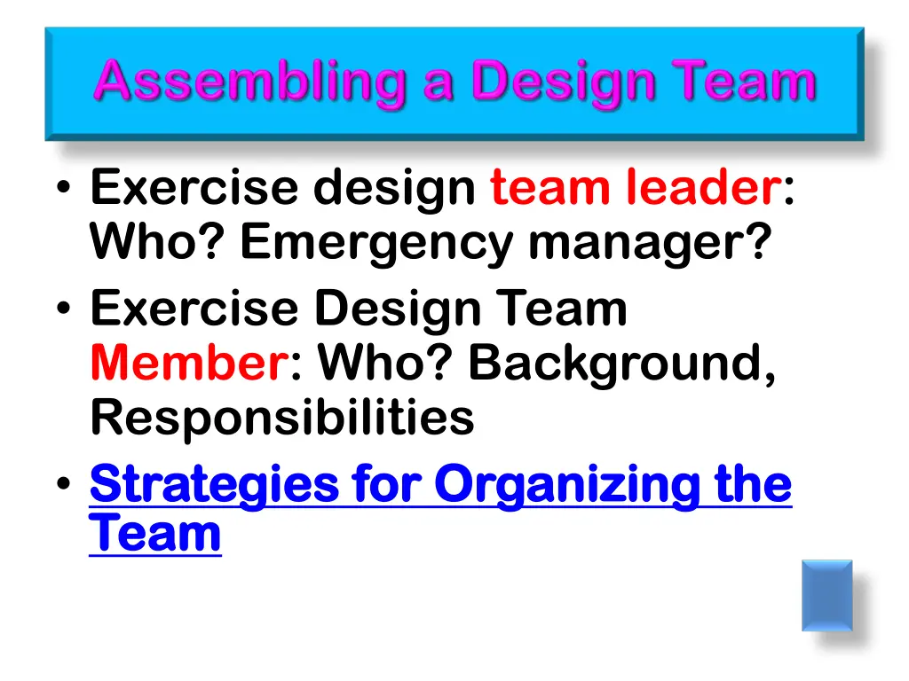 exercise design team leader who emergency manager