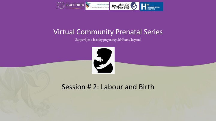 virtual community prenatal series support