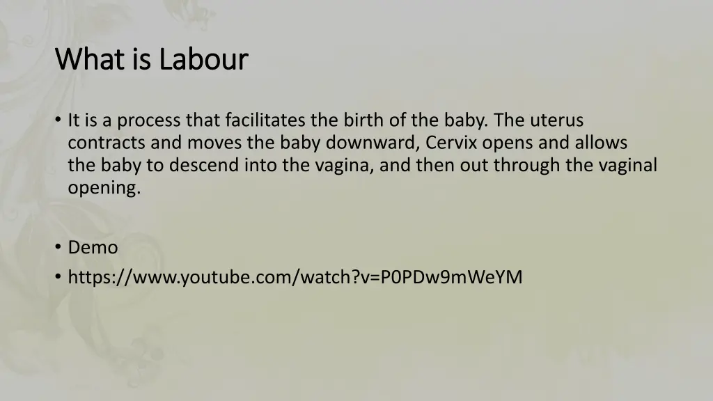 what is what is labour