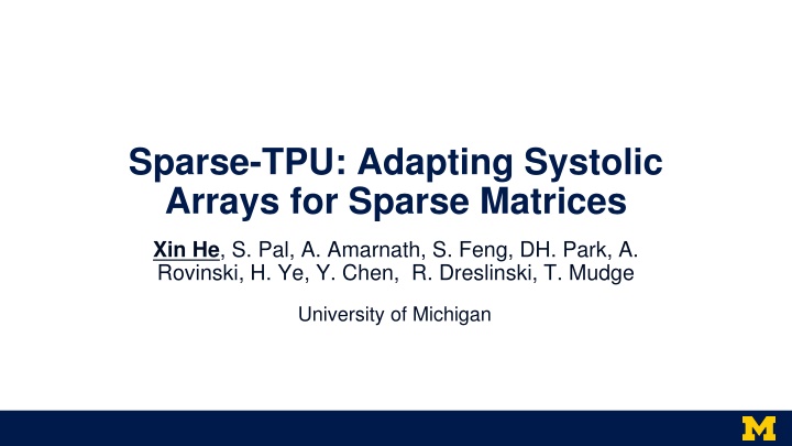sparse tpu adapting systolic arrays for sparse