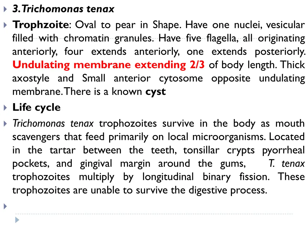3 trichomonas tenax trophzoite oval to pear
