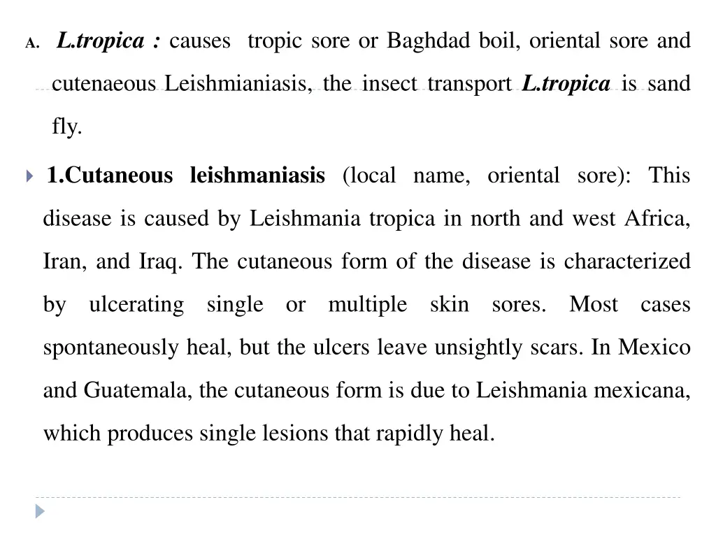 a l tropica causes tropic sore or baghdad boil