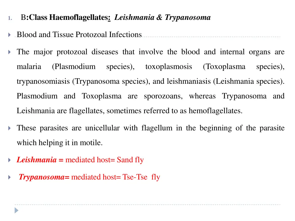 b class haemoflagellates leishmania trypanosoma
