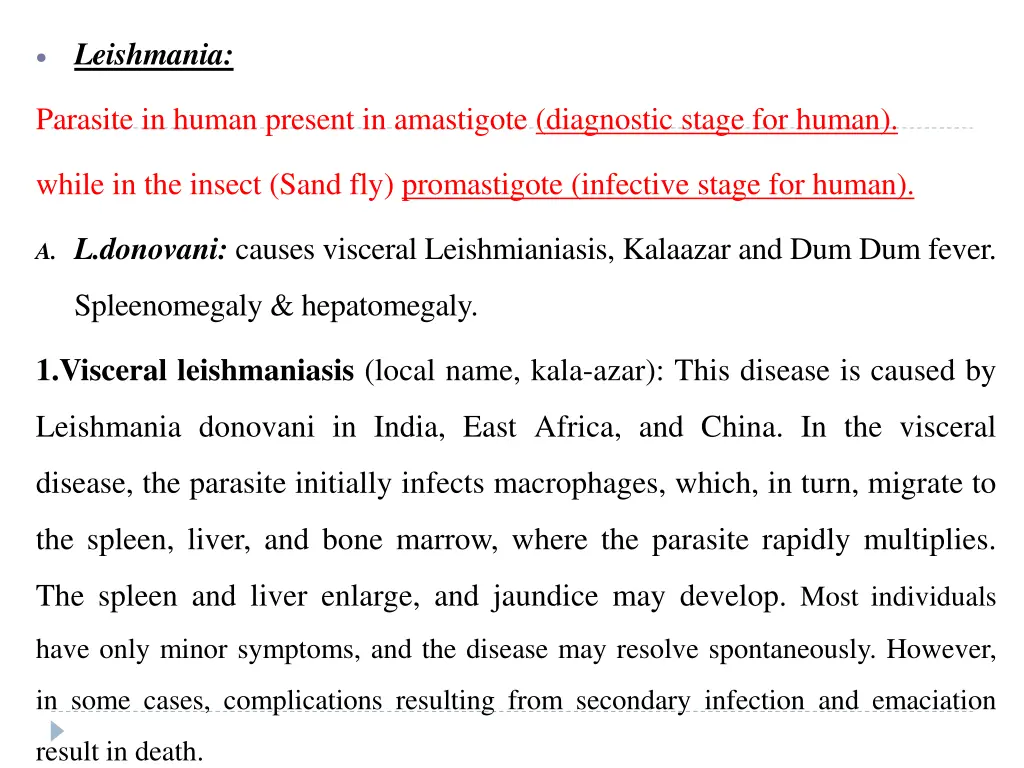 leishmania