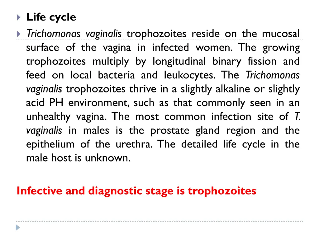 life cycle trichomonas vaginalis trophozoites