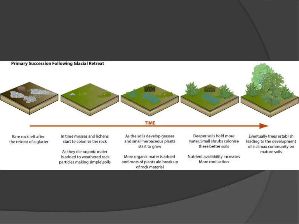slide3