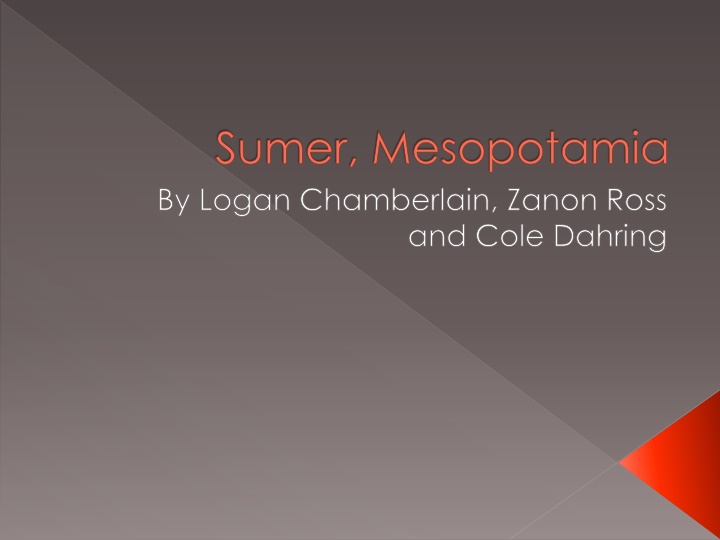 sumer mesopotamia by logan chamberlain zanon ross