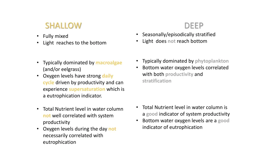 shallow fully mixed light reaches to the bottom