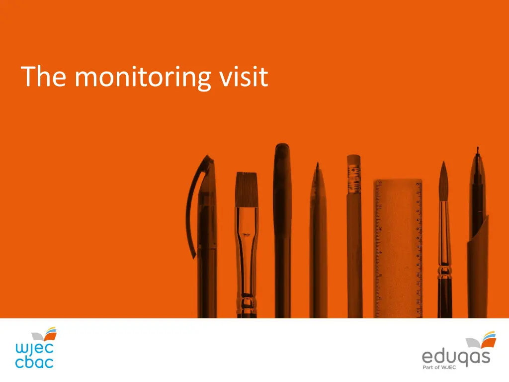 the monitoring visit