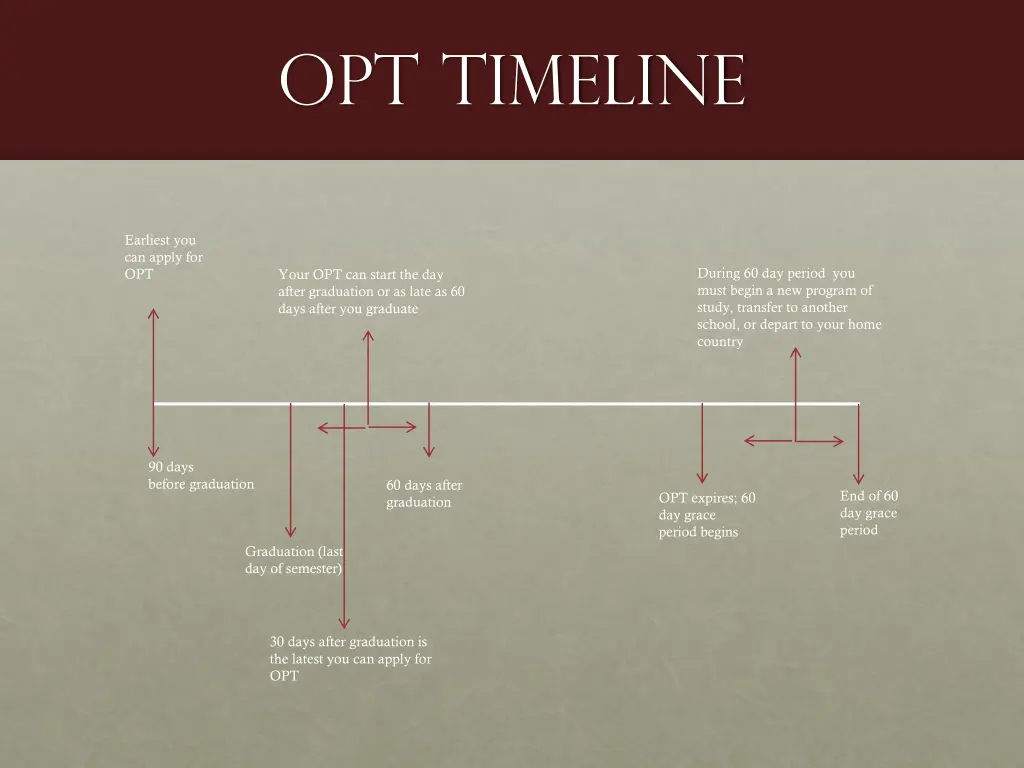 opt timeline