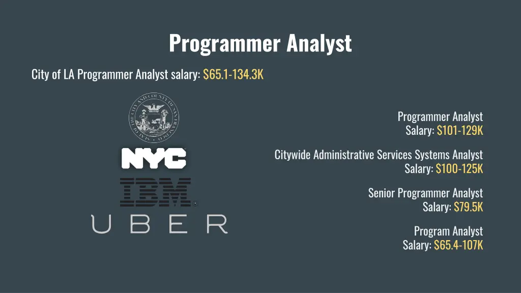 programmer analyst