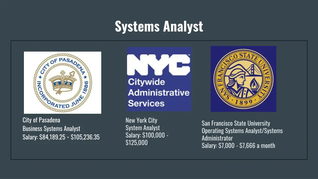 systems analyst