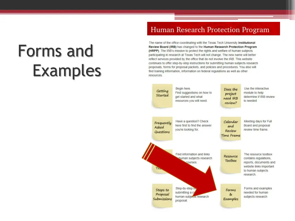 forms and examples