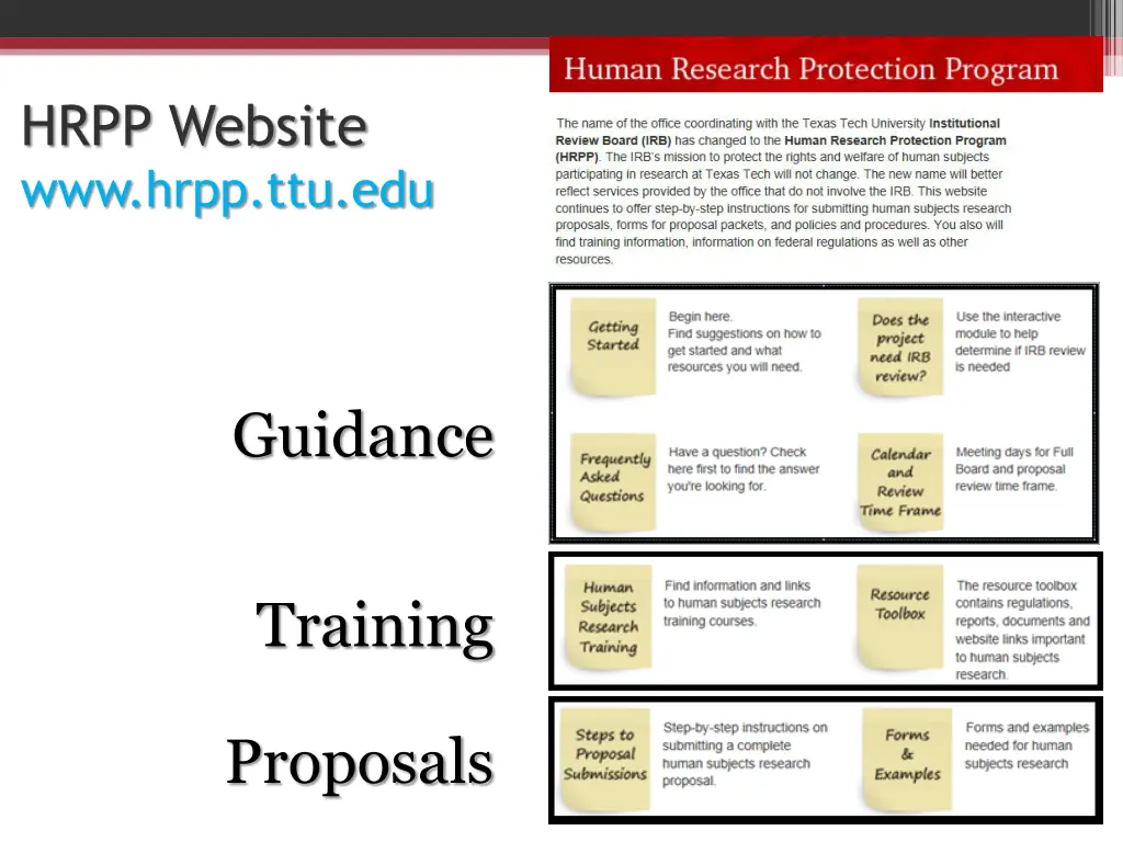 hrpp website www hrpp ttu edu