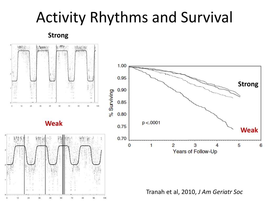 activity rhythms and survival 1