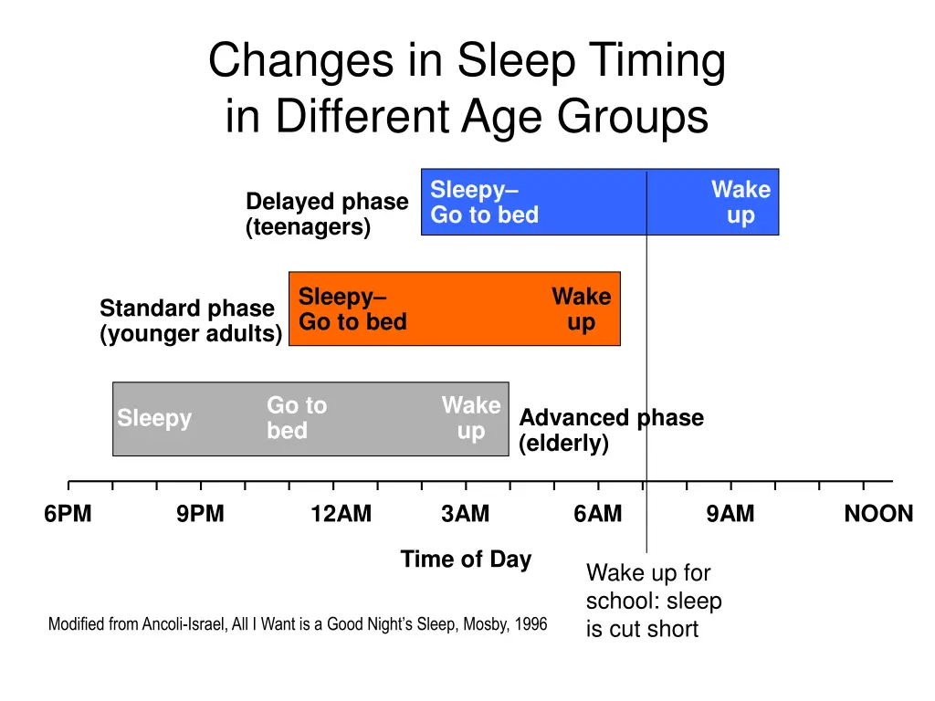 changes in sleep timing in different age groups