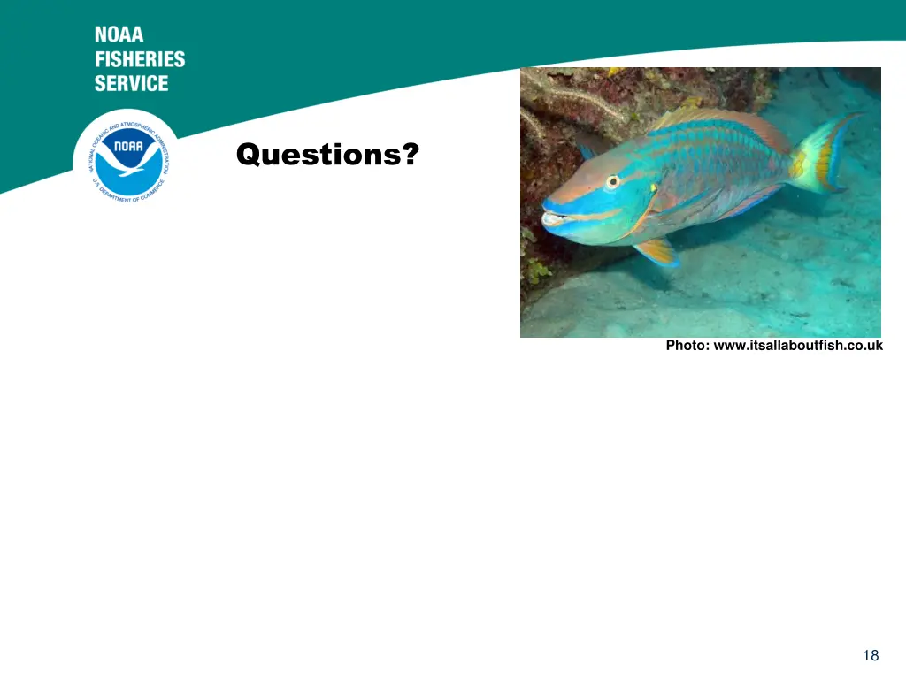 questions