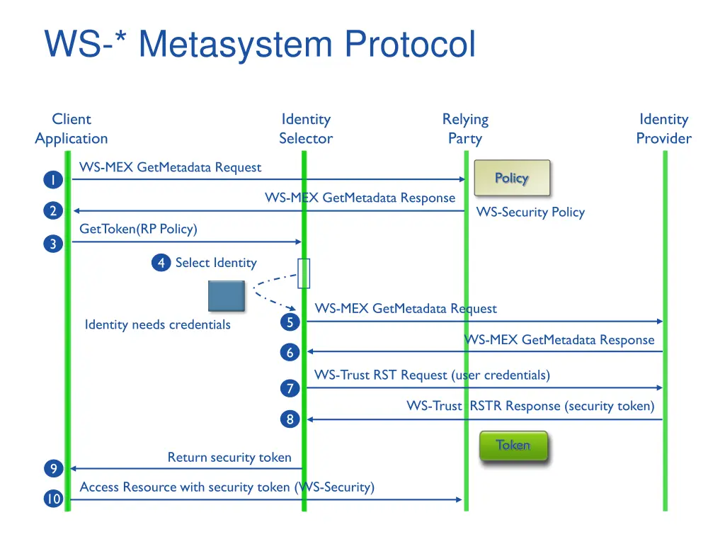 ws metasystem protocol