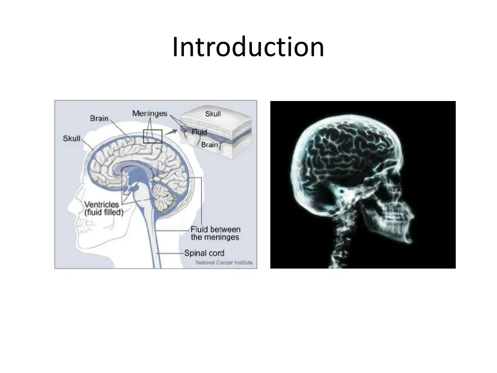 introduction 1