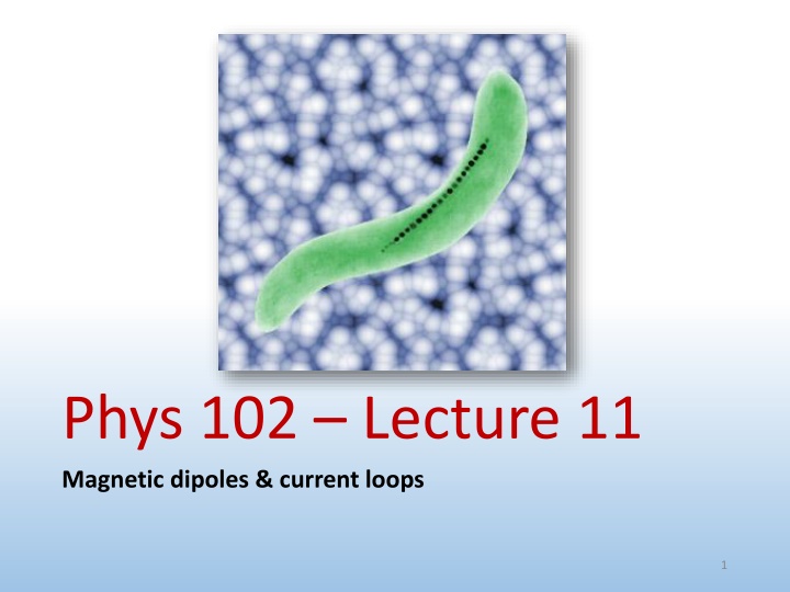 phys 102 lecture 11 magnetic dipoles current loops