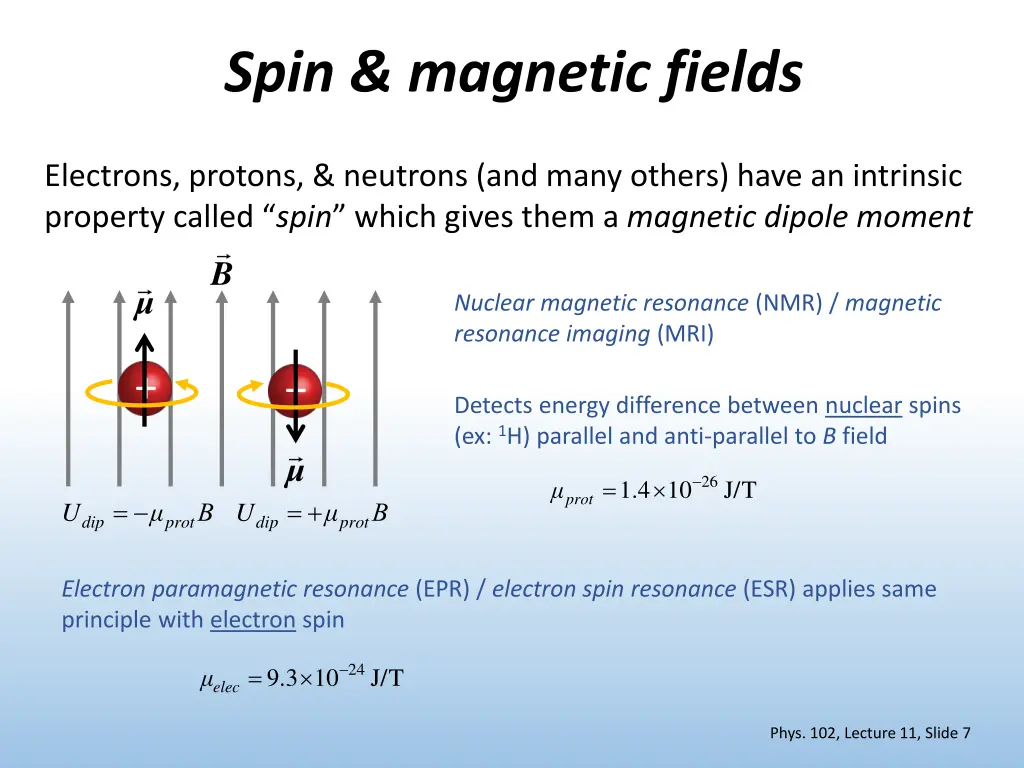 spin magnetic fields