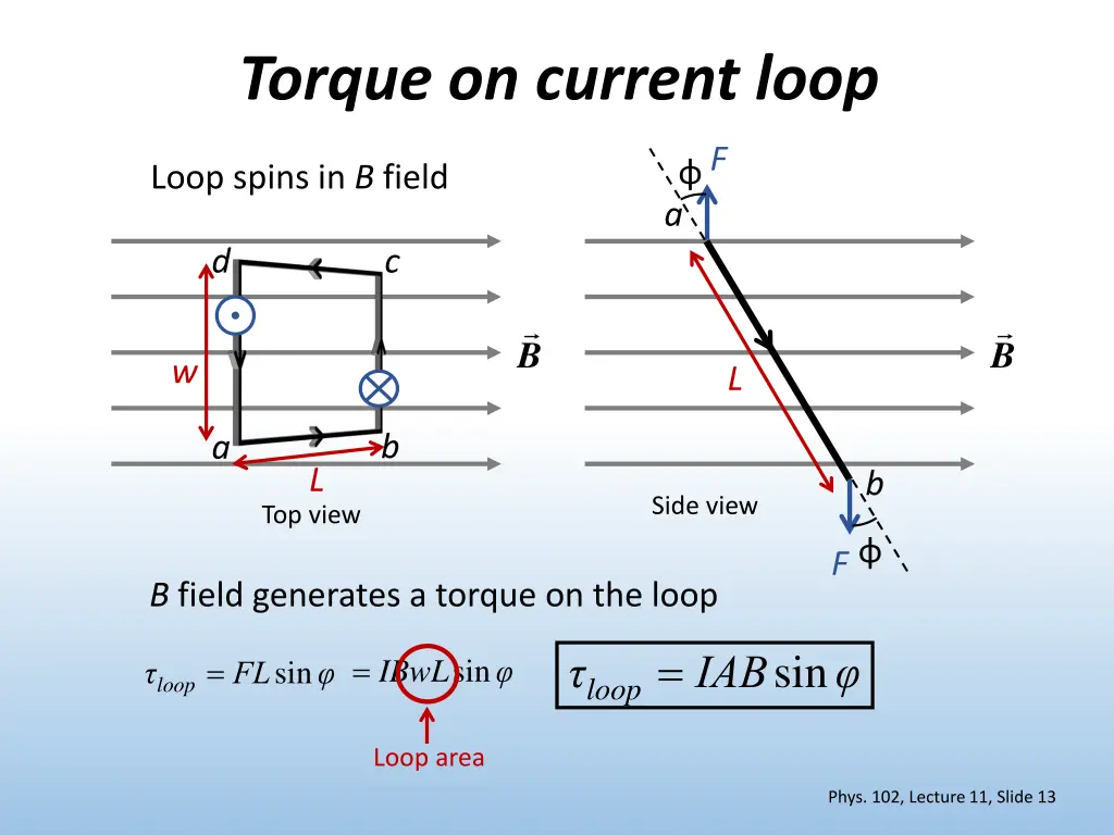 torque on current loop