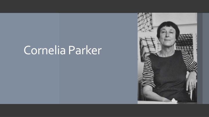 cornelia parker