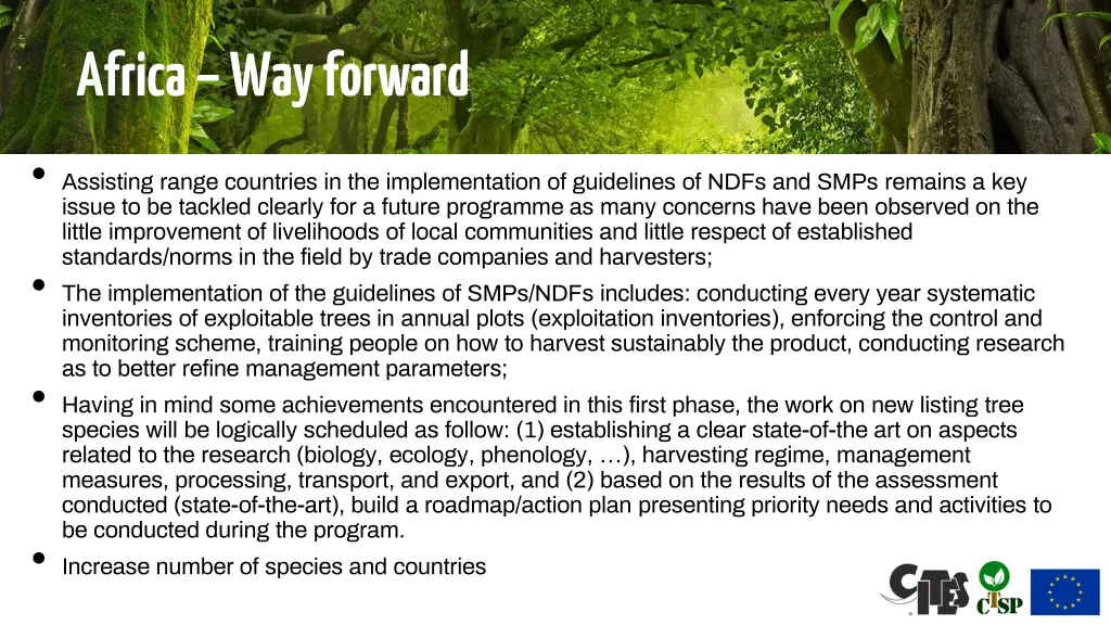 africa way forward